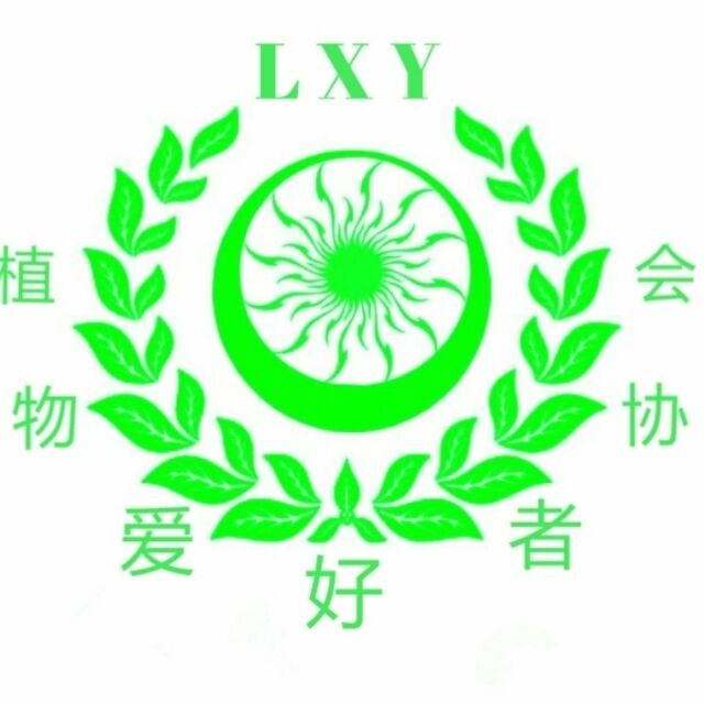 线上麻将