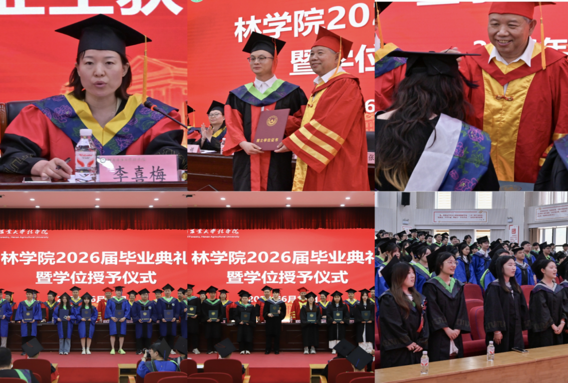 线上麻将